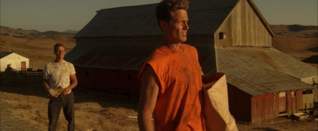 Touching Home fotoğrafı