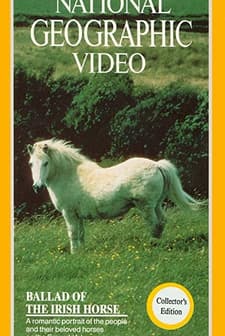 Ballad Of The ırish Horse (1985) afişi