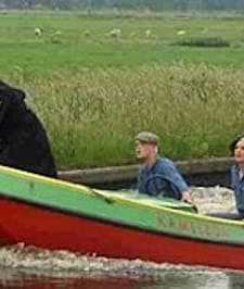 De Kameleon Sjocht Yn It Waar (2002) afişi