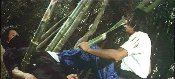 Snake Deadly Act Fotoğrafı