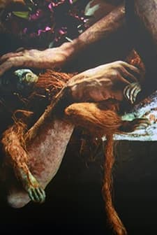 De Lama Lamina (2007) afişi