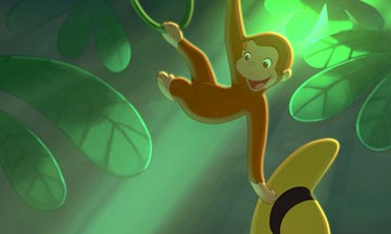 Meraklı Maymun Fotoğrafı