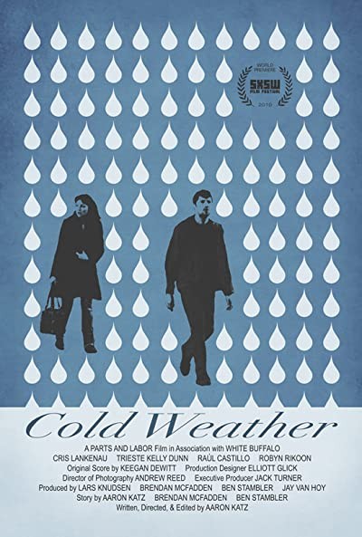 Cold Weather (2010) afişi