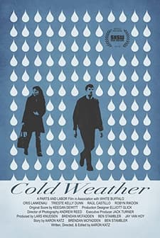 Cold Weather (2010) afişi