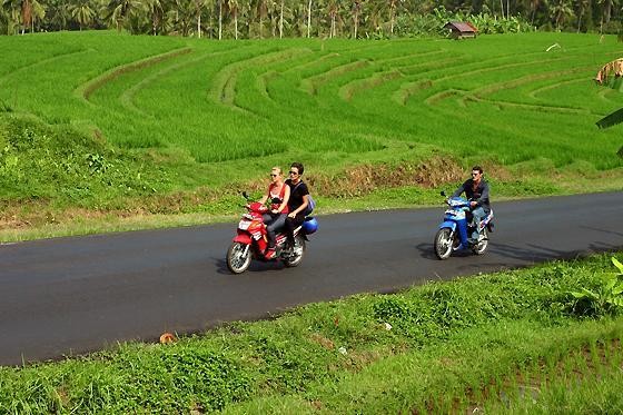 Toute La Beauté Du Monde Fotoğrafı