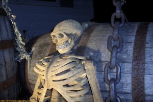 Halloween Fotoğrafı