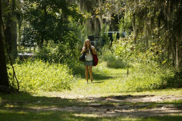 Boggy Creek Fotoğrafı