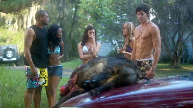 Boggy Creek fotoğrafı