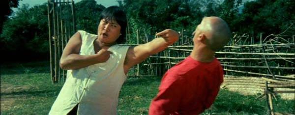 The Incredible Kung Fu Master Fotoğrafı