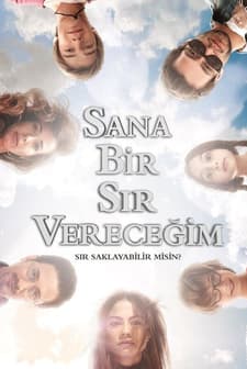 Sır (2013) afişi