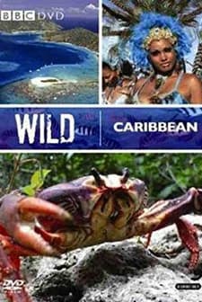 Wild Caribbean (2007) afişi