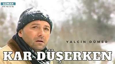 Kar Düşerken (2008) afişi