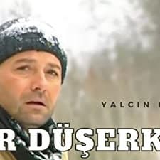 Kar Düşerken (2008) afişi