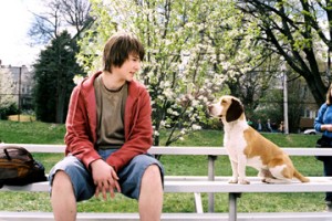 Underdog Fotoğrafı