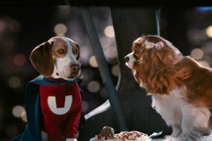 Underdog Fotoğrafı