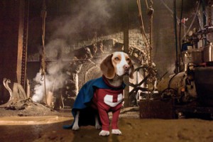 Underdog fotoğrafı