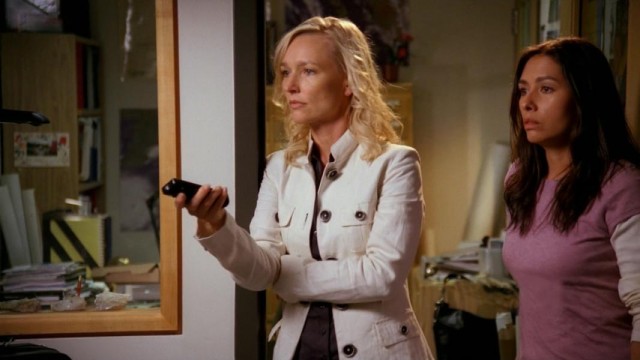 Meteor Fırtınası fotoğrafı