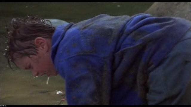 Kahraman Köpek Bingo Fotoğrafı