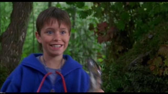 Kahraman Köpek Bingo Fotoğrafı