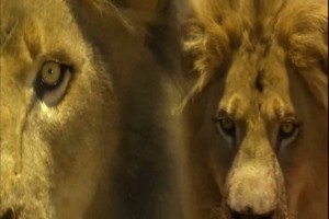 Hayalet ve Karanlık Fotoğrafı