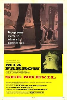 Korkunun İçinde (1971) afişi