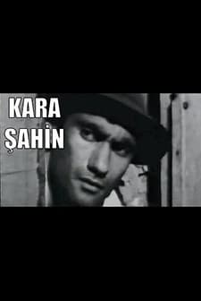 Kara Şahin (1964) afişi