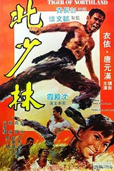 Tiger Of Northland (1976) afişi