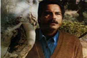 Av Zamanı fotoğrafı