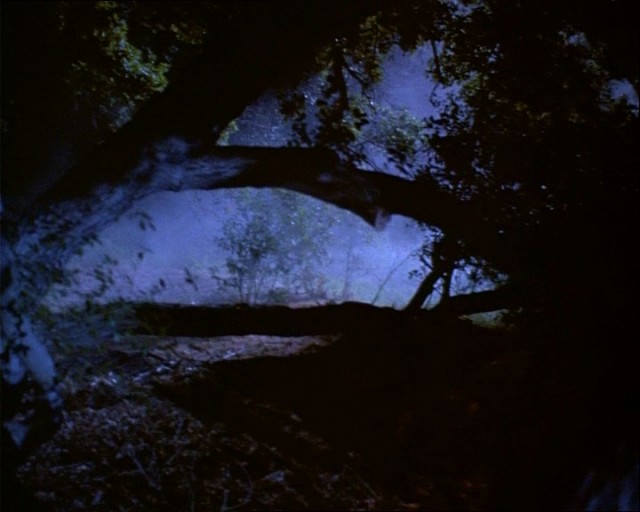 Jason Goes to Hell: The Final Friday Fotoğrafı