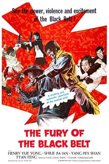 The Awaken Punch (1973) afişi