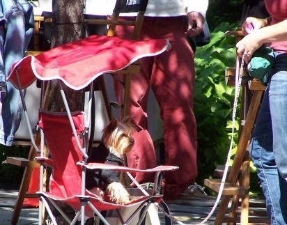 Sharpay'in Göz Alıcı Macerası Fotoğrafı