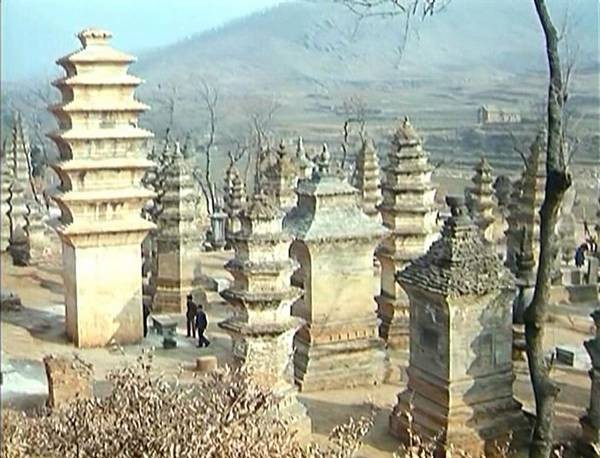 This ıs Kung Fu fotoğrafı