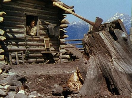 Vadiler Aslanı fotoğrafı