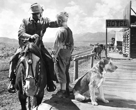 Vadiler Aslanı fotoğrafı