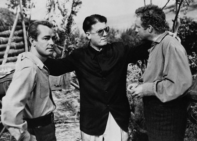 Vadiler Aslanı Fotoğrafı