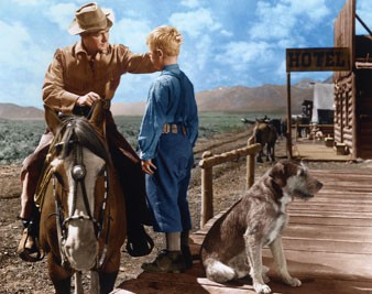 Vadiler Aslanı Fotoğrafı