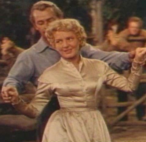 Vadiler Aslanı Fotoğrafı