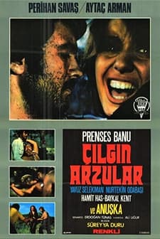 Çılgın Arzular (1974) afişi