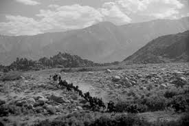 Ox-Bow Olayı Fotoğrafı