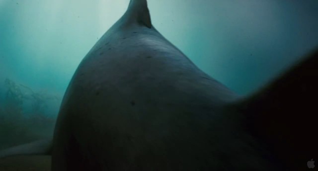 Katil Köpekbalığı Fotoğrafı