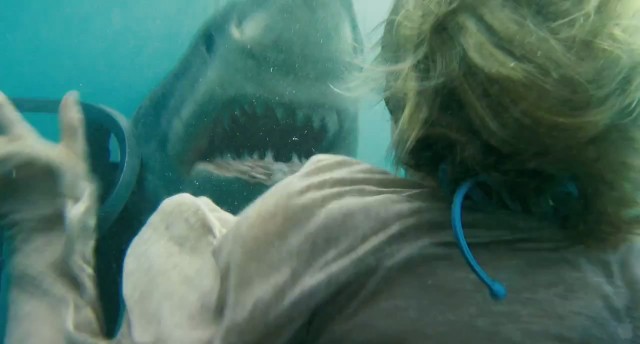 Katil Köpekbalığı Fotoğrafı