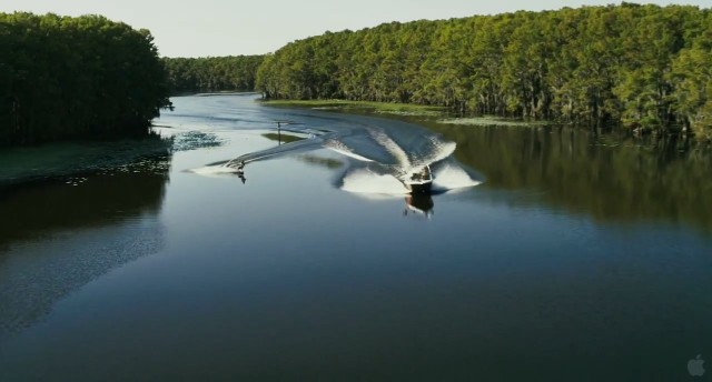 Katil Köpekbalığı Fotoğrafı