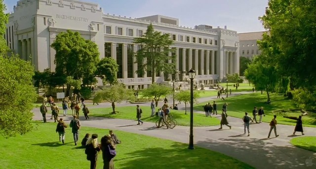 Katil Köpekbalığı Fotoğrafı