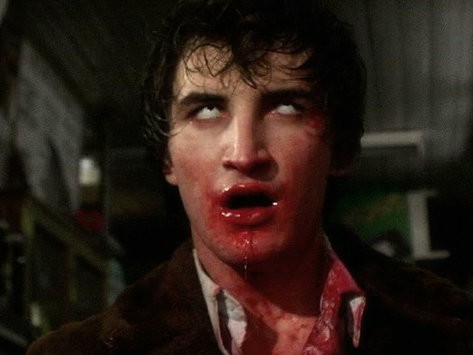 Moonshine fotoğrafı