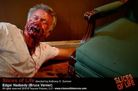 Slices Of Life fotoğrafı