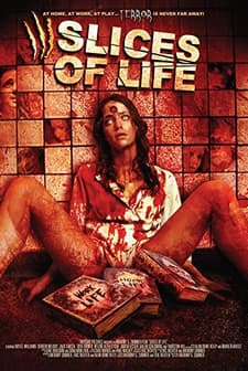 Slices Of Life (2010) afişi