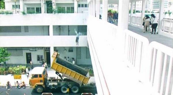 Tiger On The Beat 2 Fotoğrafı