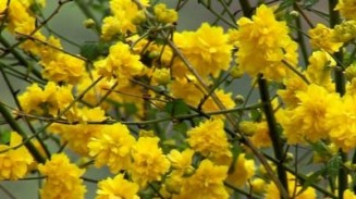 Şarkılarla Geçtim Aranızdan Fotoğrafı