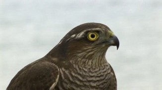 Şarkılarla Geçtim Aranızdan fotoğrafı