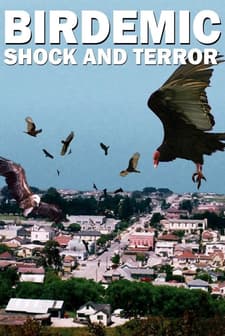 Birdemic: Shock And Terror (2008) afişi